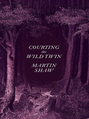 Courting the Wild Twin - ebook
